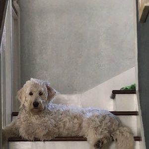 Meet your Posher, Linda